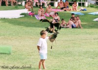 /album/aves-em-movimento/a50840075-jpg/