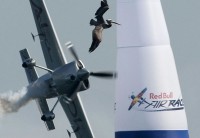/album/aves-em-movimento/redbull-jpg/