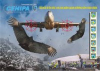 /album/aves-em-movimento/imagesy62qqyit-jpg/